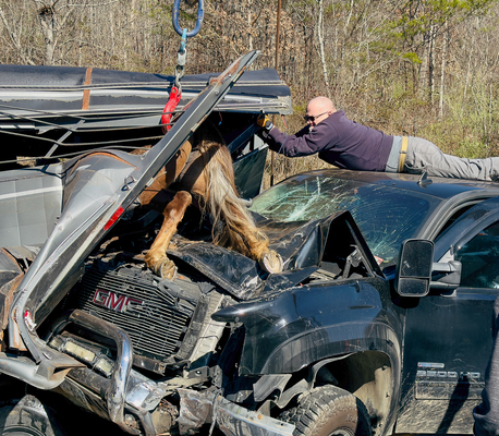 Manchester Fire Chief Jason Nolan holds the wreckage away from the horse as it was freed.