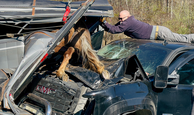 Manchester Fire Chief Jason Nolan holds the wreckage away from the horse as it was freed.